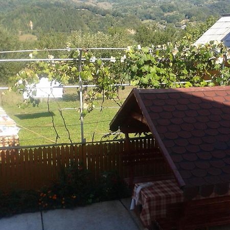 Pensiunea Popan Şieu Extérieur photo