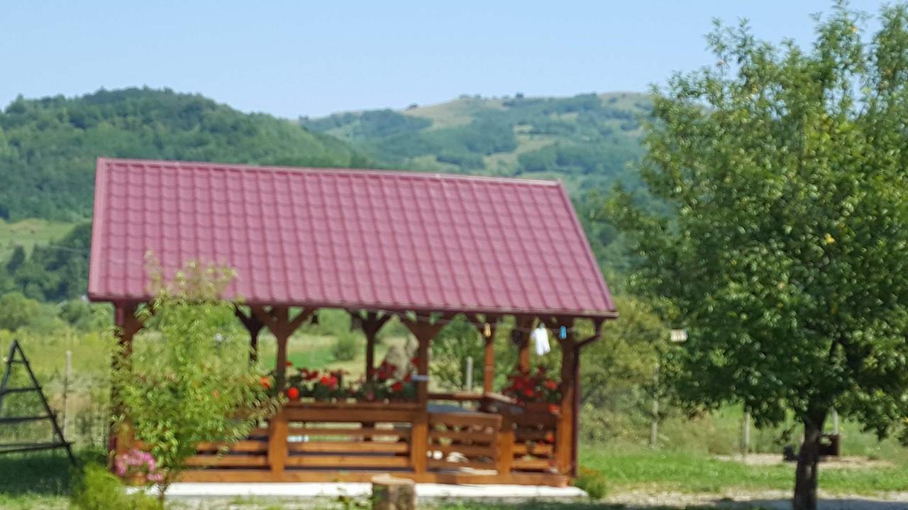 Pensiunea Popan Şieu Extérieur photo